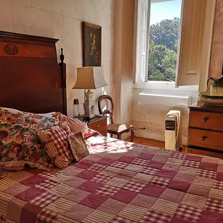 Victoria's Sintra